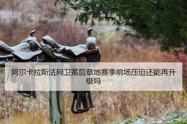 a-er-ka-la-si-fa-wang-wei-mian-hou-cao-di-sai-ji-qian-chang-ya-po-hai-neng-zai-sheng-ji-ma-2-780.jpg