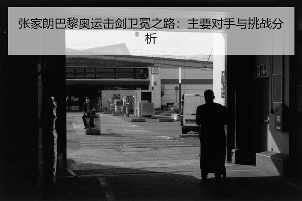 zhang-jia-lang-ba-li-ao-yun-ji-jian-wei-mian-zhi-lu-zhu-yao-dui-shou-yu-tiao-zhan-fen-xi-2-700.jpg