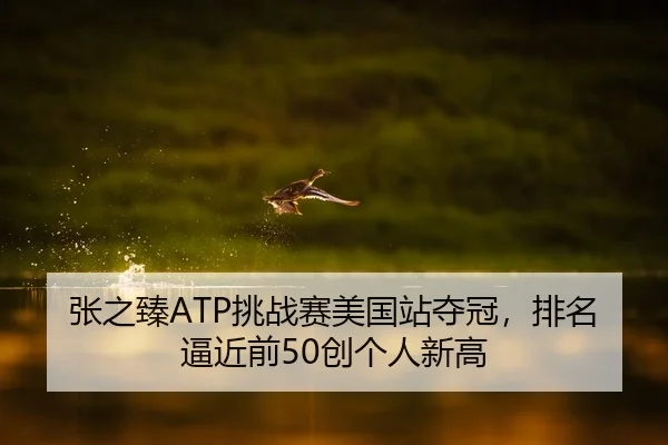 张之臻ATP挑战赛美国站夺冠，排名逼近前50创个人新高