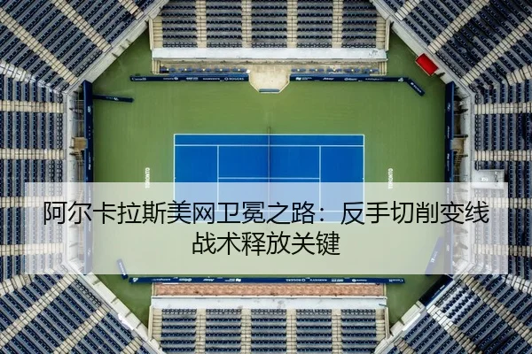 a-er-ka-la-si-mei-wang-wei-mian-zhi-lu-fan-shou-qie-xiao-bian-xian-zhan-shu-shi-fang-guan-jian-3-217.jpg
