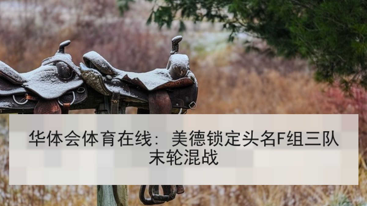 华体会体育在线: 美德锁定头名F组三队末轮混战