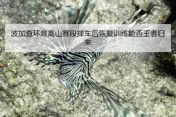 波加查环意高山赛段摔车后恢复训练能否王者归来