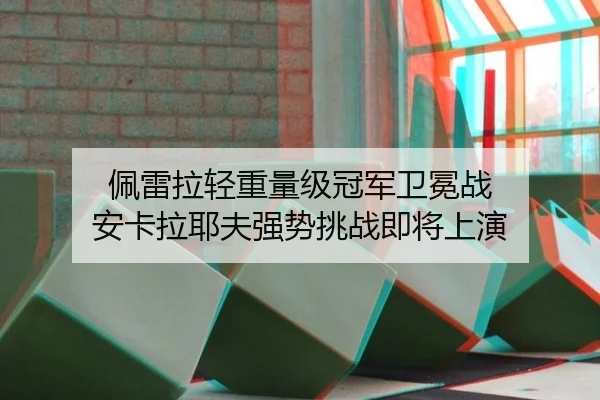 佩雷拉轻重量级冠军卫冕战 安卡拉耶夫强势挑战即将上演